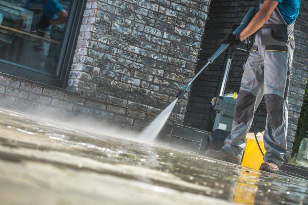 Animal Enclosure Cleaning in Zion, IL